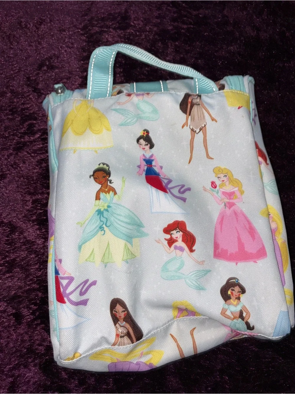 Disney Princess Pottery Barn Hanging Toiletry Bag